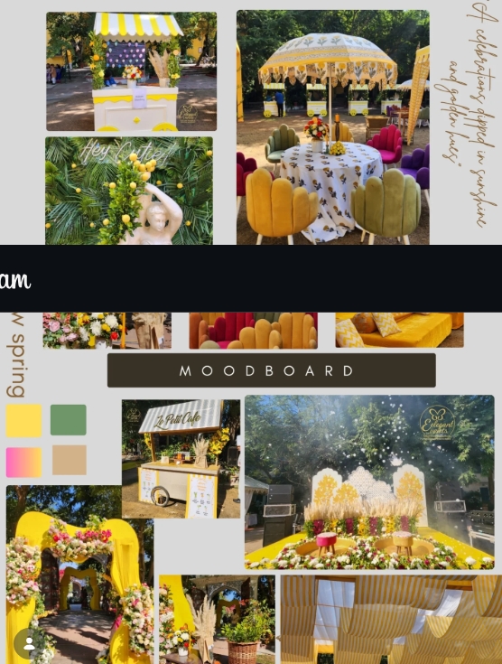 Birthday Celebration Mood Board